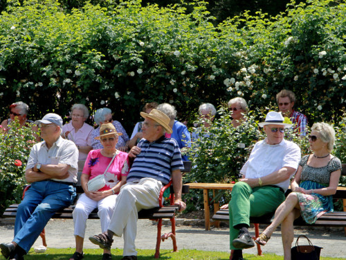 Rosenfest  – Foto 22
