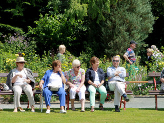 Foto 88120 im Album