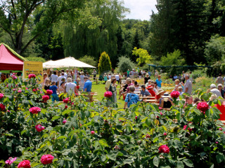 Foto 88123 im Album