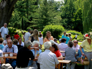 Foto 88131 im Album