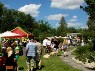 Foto 88133 im Album