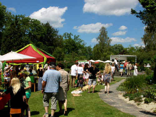 Rosenfest  – Foto 37