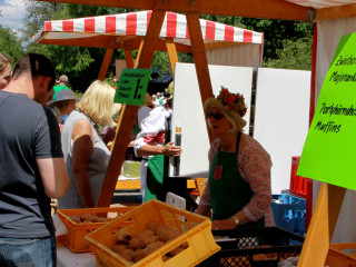 Foto 88136 im Album
