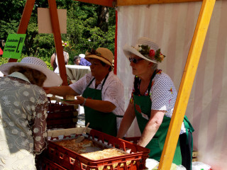 Foto 88139 im Album