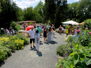 Foto 88143 im Album