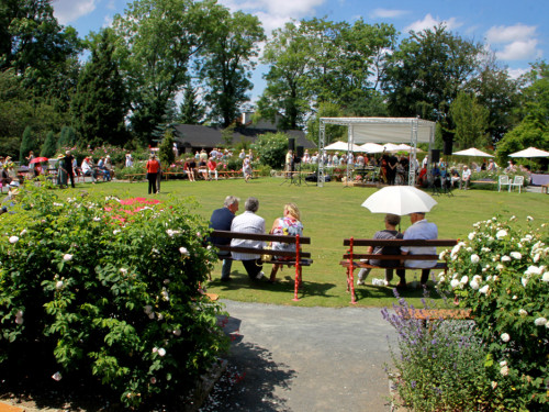 Rosenfest  – Foto 49