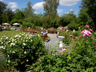 Foto 88146 im Album