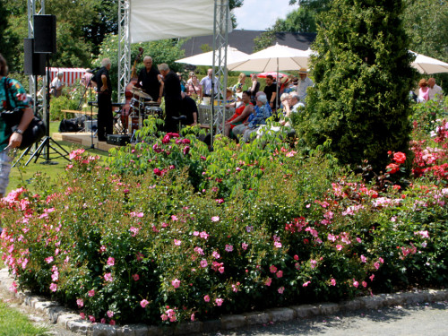 Rosenfest  – Foto 53