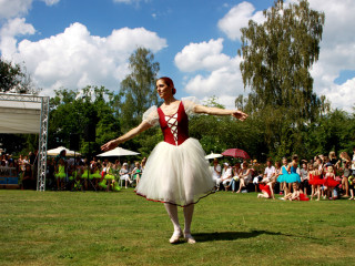 Foto 88391 im Album