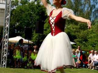 Foto 88392 im Album