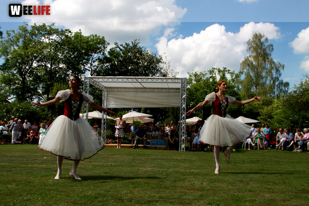 Rosenfest 
