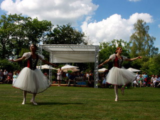 Foto 88394 im Album