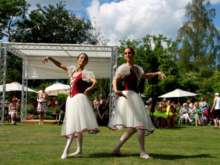 Foto 88395 im Album