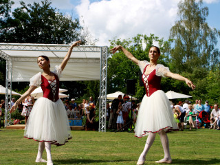 Foto 88397 im Album