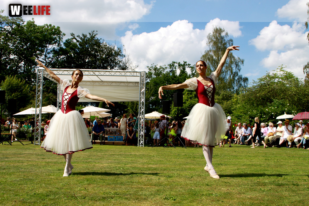 Rosenfest 