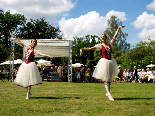 Rosenfest  – Foto 302