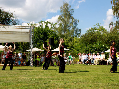 Rosenfest  – Foto 316