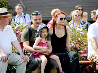 Foto 88416 im Album