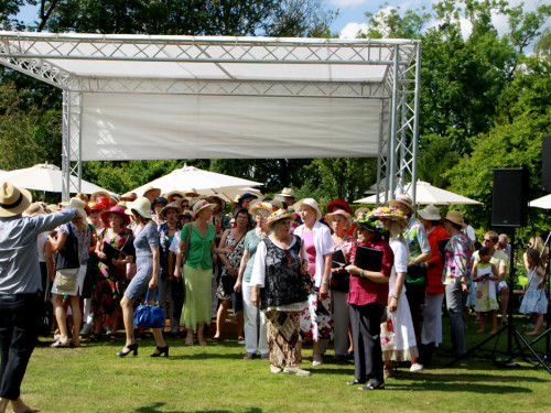 Rosenfest  – Foto 330