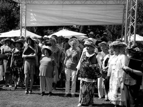 Rosenfest  – Foto 334