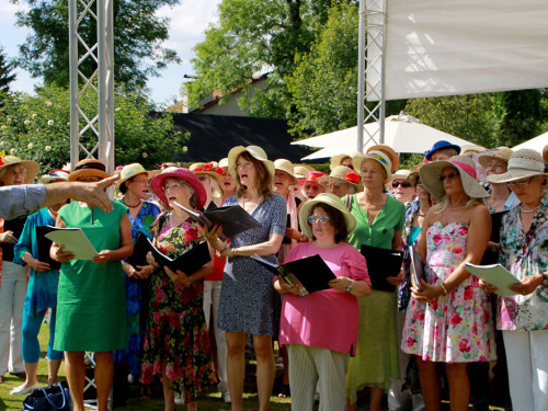 Rosenfest  – Foto 339