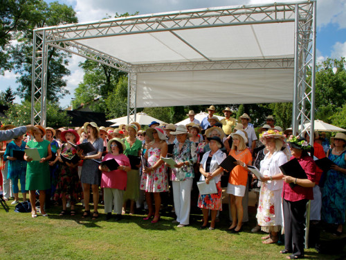 Rosenfest  – Foto 340