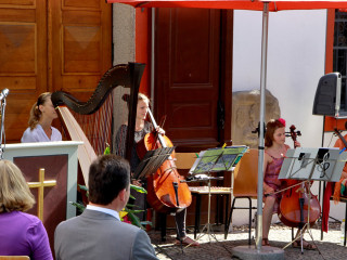 Foto 89082 im Album