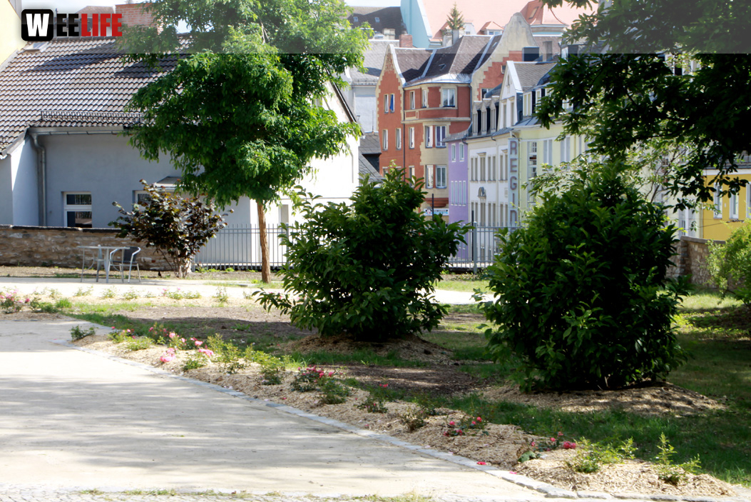 Einweihung der Stadtoase