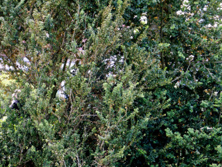 Foto 89123 im Album