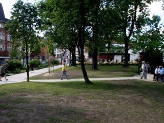 Foto 89129 im Album