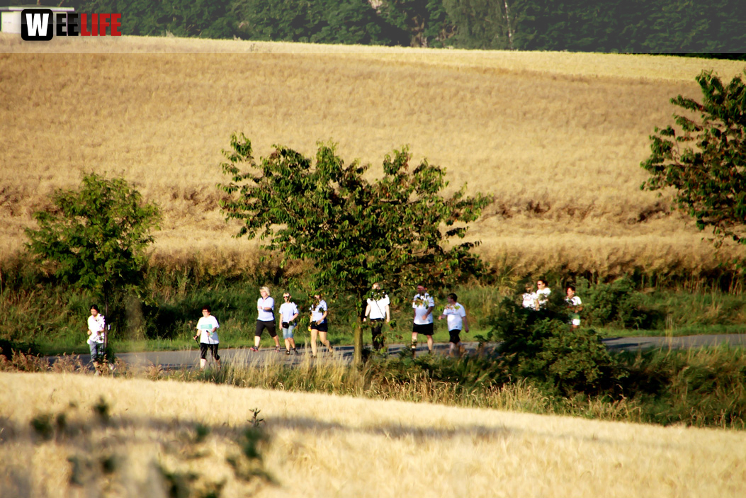 1. Frankenpost Firmenlauf 
