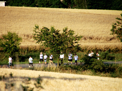 1. Frankenpost Firmenlauf  – Foto 17