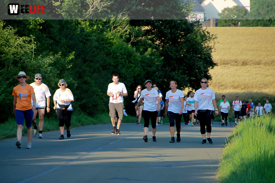 1. Frankenpost Firmenlauf 