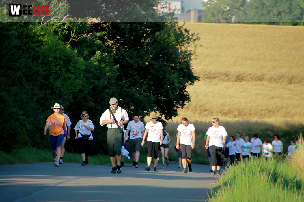 1. Frankenpost Firmenlauf 