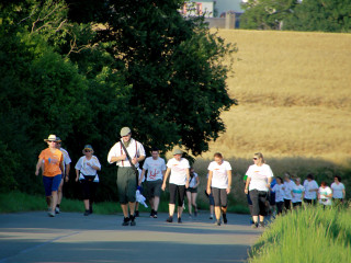 Foto 90352 im Album