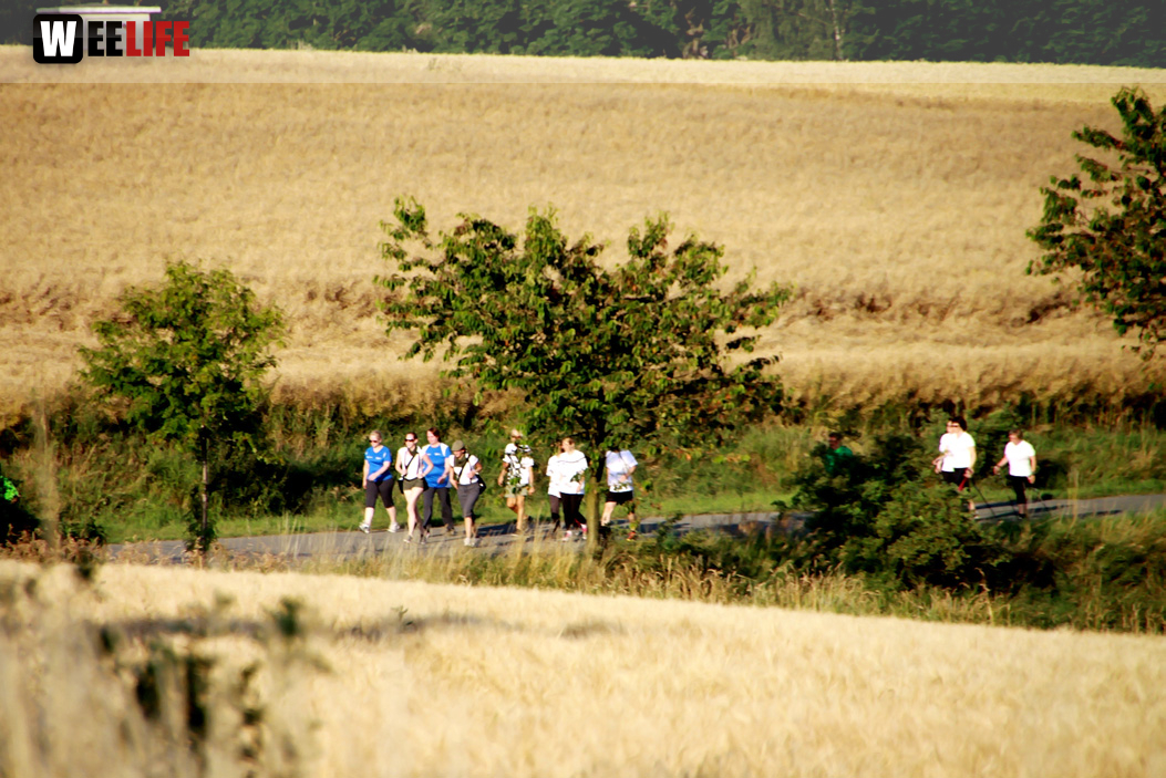 1. Frankenpost Firmenlauf 