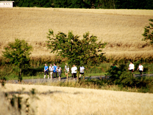 1. Frankenpost Firmenlauf  – Foto 59