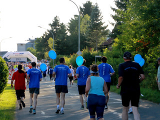 Foto 90360 im Album