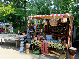 Foto 91513 im Album