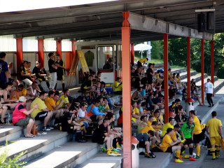 Foto 91920 im Album