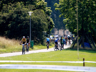Foto 92070 im Album
