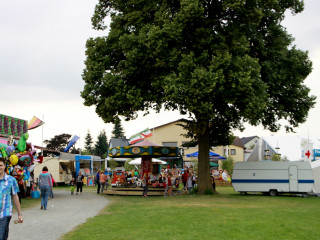 Foto 92246 im Album