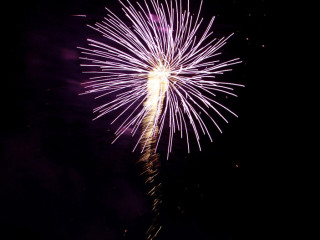 Foto 92421 im Album