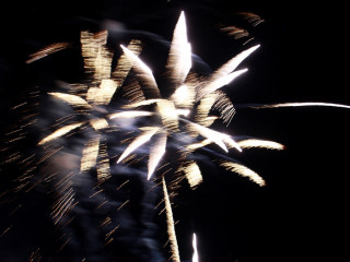 Foto 92423 im Album