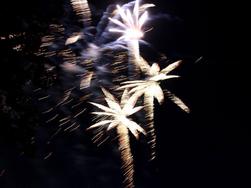 Wiesenfest Selbitz Großes Brillanthöhenfeuerwerk – Foto 22