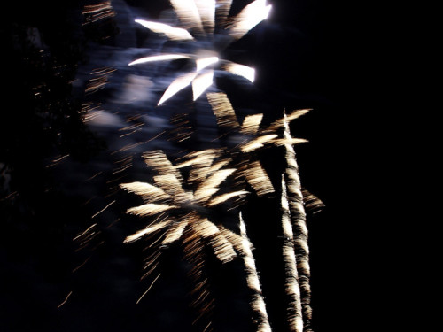 Wiesenfest Selbitz Großes Brillanthöhenfeuerwerk – Foto 23