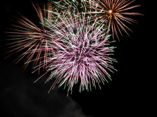 Foto 92442 im Album