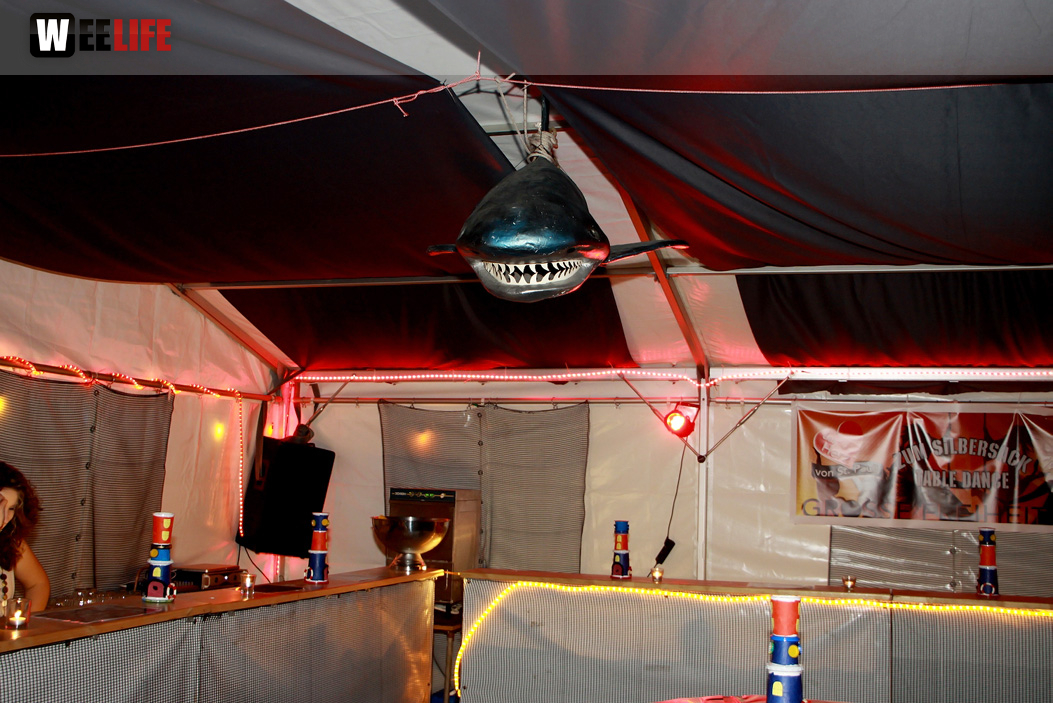 Wiesla Sportfest Openair mit Obacht