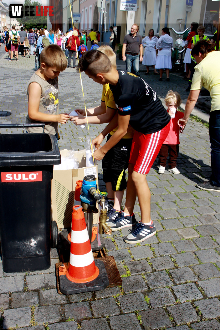 Hofer Volksfest 2014 Volksfestumzug