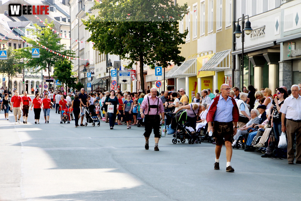 Hofer Volksfest 2014 Volksfestumzug